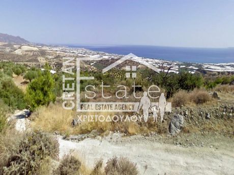 Αγροτεμάχια 10.000 τ.μ. για πώληση