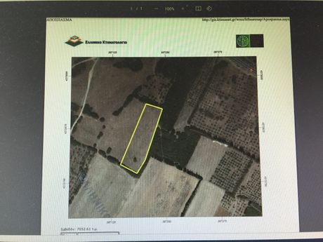 Parcel 7.052sqm for sale-Tithorea » Kato Tithorea