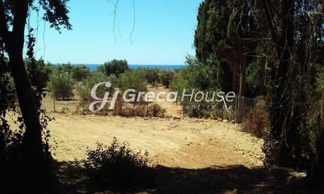 Land plot 2.800sqm for sale-Epidavros » Archaia Epidavros