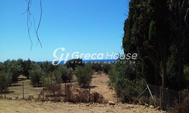 Οικόπεδο 2.800 τ.μ. πρός πώληση, Αργολίδα, Επίδαυρος