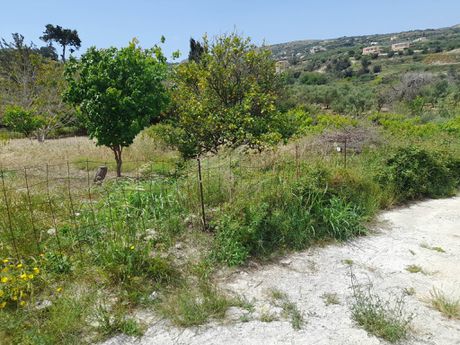 Land plot 572sqm for sale-Arkadi » Agios Dimitrios