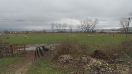 Land plot 12.000sqm for rent-Mpizanio » Pedini