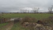 Land plot 12.000sqm for rent-Mpizanio » Pedini