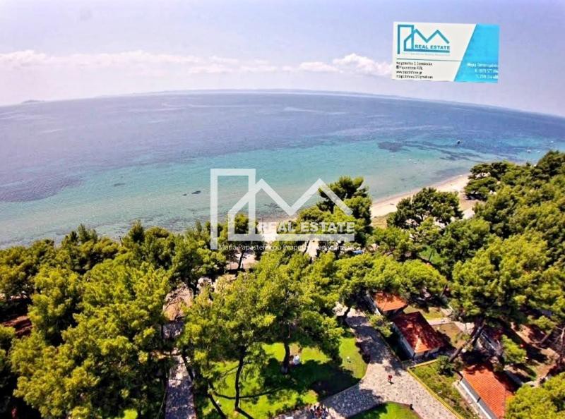 Αγροτεμάχια 10.000 τ.μ. προς πώληση, Μεταμόρφωση Ορμύλιας