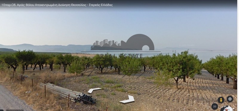 Αγροτεμάχια 13.063 τ.μ. πρός πώληση, Μαγνησία, Κάρλα