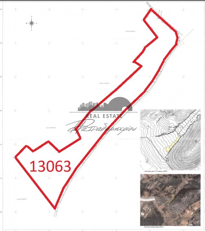 Αγροτεμάχια 13.063 τ.μ. πρός πώληση, Μαγνησία, Κάρλα