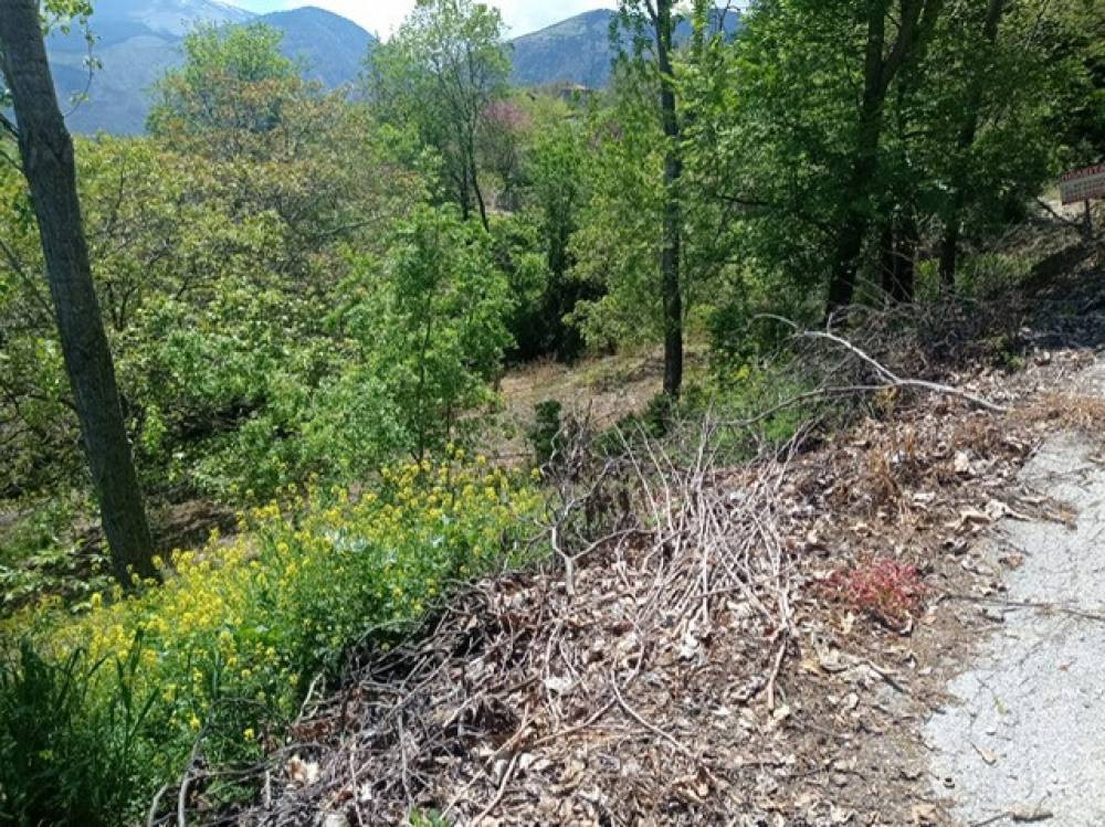 Αγροτεμάχια 2.060 τ.μ. πρός πώληση, Κορινθία, Ξυλόκαστρο