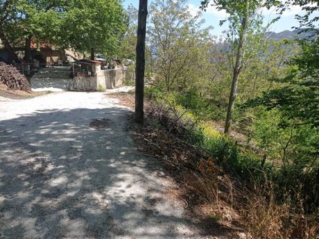 Land plot 2.060sqm for sale-Xilokastro » Kato Sinoikia Trikalon
