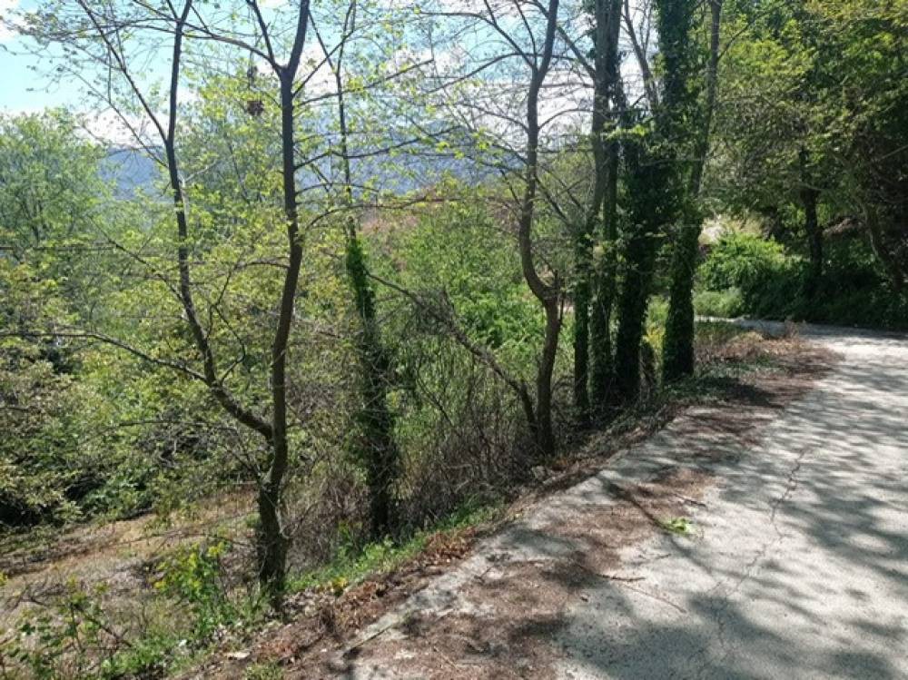 Αγροτεμάχια 2.060 τ.μ. πρός πώληση, Κορινθία, Ξυλόκαστρο