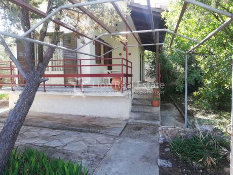 Detached home 55 sqm for sale