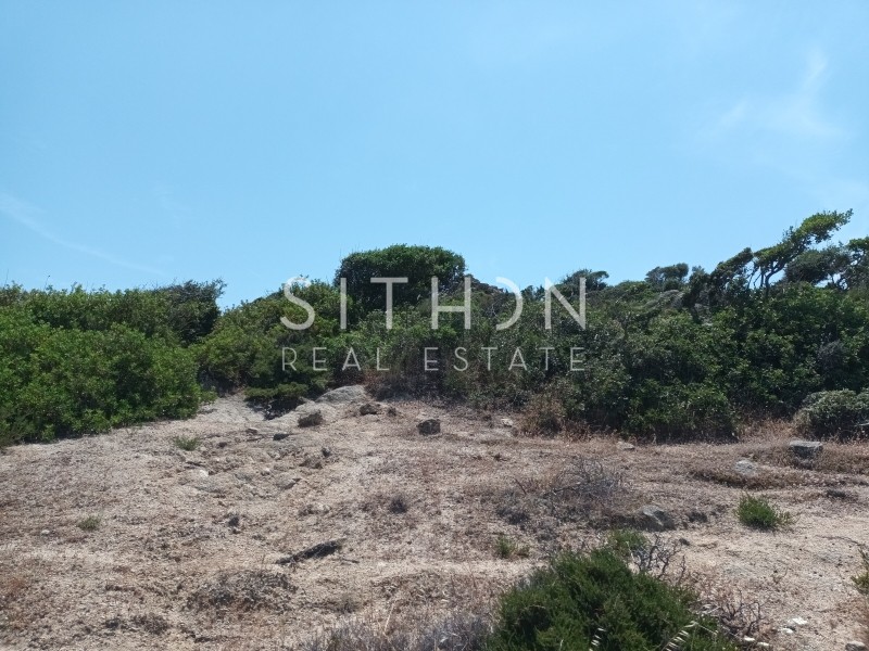 Οικόπεδο 499 τ.μ. προς πώληση, Σκάλα Συκέας