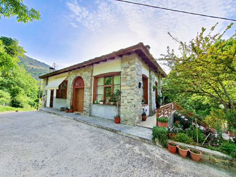 Κατάστημα 85τ.μ. για πώληση-Θάσος » Μικρός πρίνος