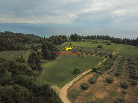 Parcel 16.873sqm for sale-Pallini » Polichrono