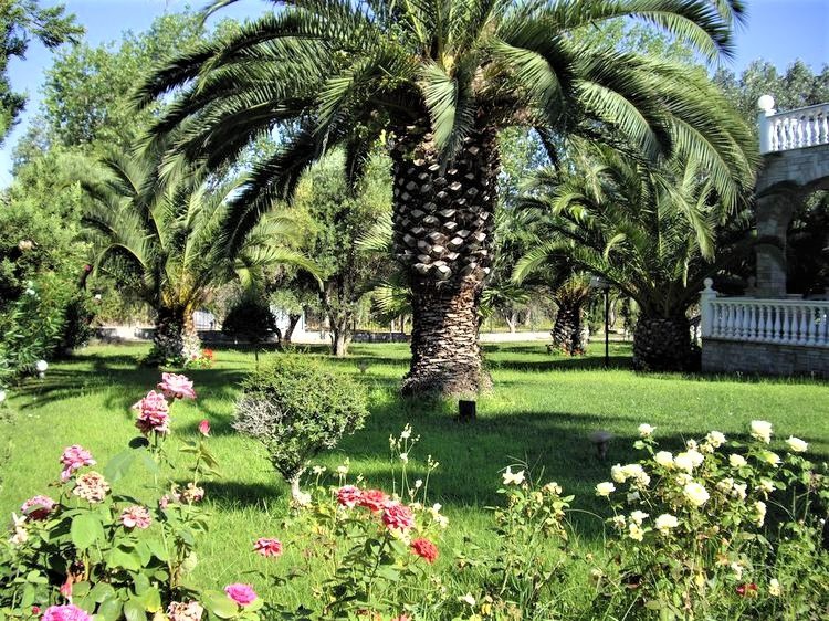 Βίλλα 339 τ.μ. πρός πώληση, Χαλκιδική, Παλλήνη