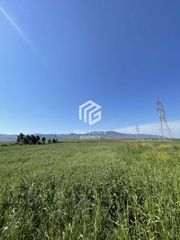 Αγροτεμάχια 170.000 τ.μ. για πώληση