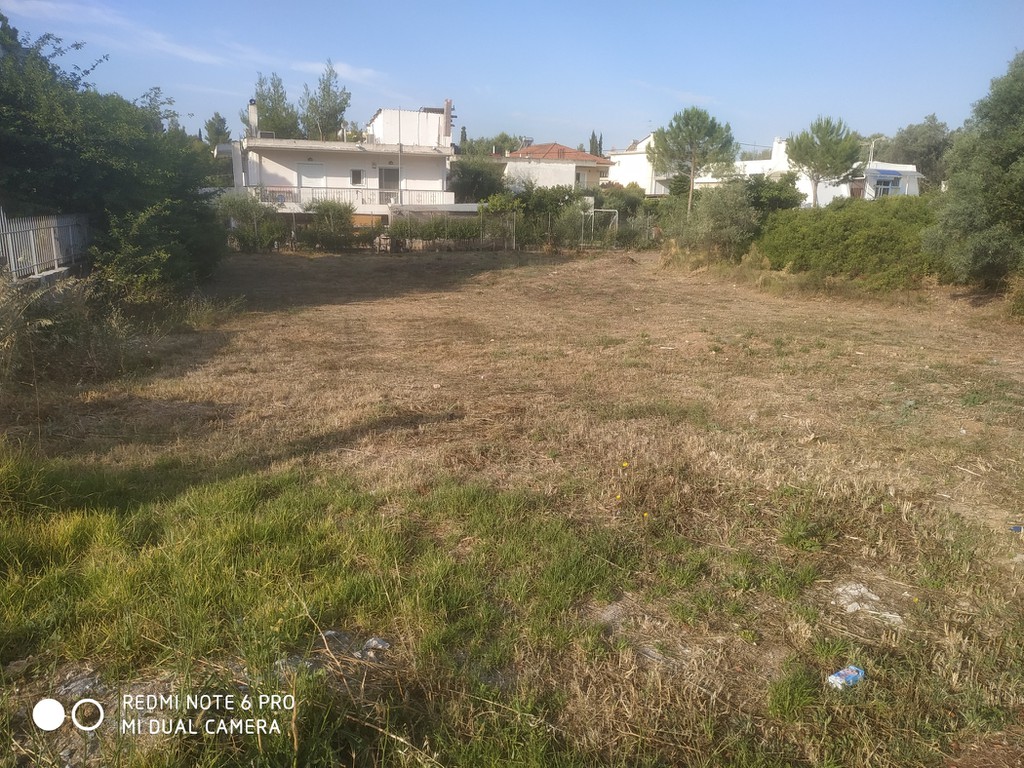 Land plot 593 sqm for sale, Plaka Dilesi