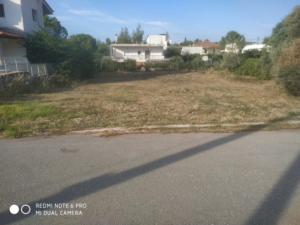 Land plot 593 sqm for sale, Plaka Dilesi