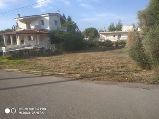 Οικόπεδο 593 τ.μ. προς πώληση, Πλάκα Δήλεσι-thumb-5