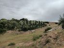 Land plot 500sqm for sale-Toroni » Skala Sikeas