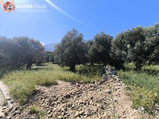 Οικόπεδο 1.018 τ.μ. για πώληση, Ν. Σάμου, Σάμος-thumb-3