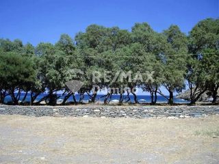 Αγροτεμάχια 4.305 τ.μ. για πώληση