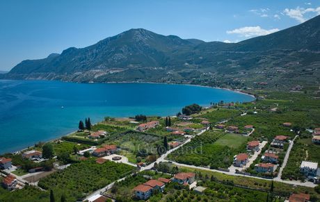 Αγροτεμάχια 2.200 τ.μ. για πώληση