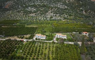 Άλλο 320 τ.μ. για πώληση, Αργολίδα, Επίδαυρος-thumb-9
