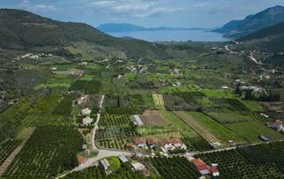 Άλλο 320 τ.μ. για πώληση, Αργολίδα, Επίδαυρος-thumb-10
