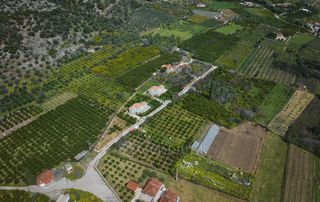 Άλλο 320 τ.μ. για πώληση, Αργολίδα, Επίδαυρος-thumb-8