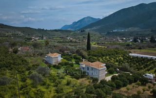 Άλλο 320 τ.μ. για πώληση, Αργολίδα, Επίδαυρος-thumb-5