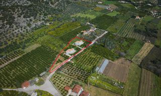 Άλλο 320 τ.μ. για πώληση, Αργολίδα, Επίδαυρος-thumb-1