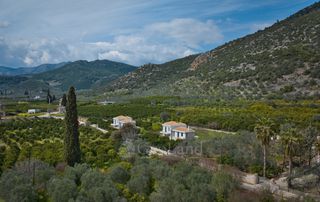 Άλλο 320 τ.μ. για πώληση, Αργολίδα, Επίδαυρος-thumb-11