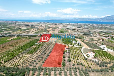 Οικόπεδο 5.000τ.μ. για πώληση-Κόρινθος » Αρχαία κόρινθος