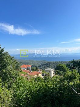 Μονοκατοικία 43 τ.μ. πρός πώληση