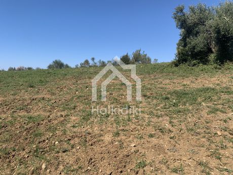Αγροτεμάχια 4.107τ.μ. για πώληση-Κασσάνδρα » Κασσανδρηνό
