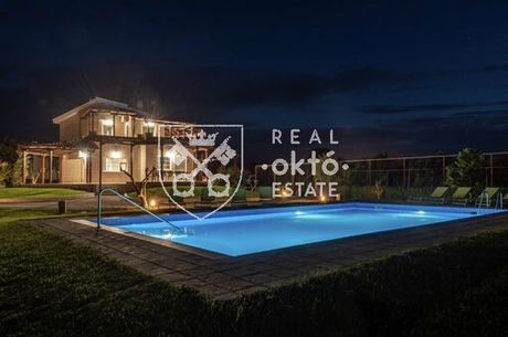 Βίλλα 300 τ.μ. για πώληση
