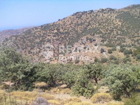 Parcel 60.000sqm for sale-Kea » Ellinika
