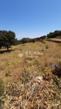 Parcel 3.800sqm for sale-Kea » Ioulida