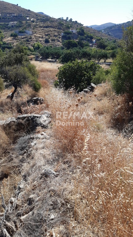 Αγροτεμάχια 6.500 τ.μ. προς πώληση, Οτζιάς