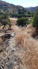 Αγροτεμάχια 6.500 τ.μ. προς πώληση, Οτζιάς-thumb-3