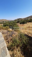 Αγροτεμάχια 6.500 τ.μ. προς πώληση, Οτζιάς-thumb-15