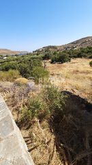 Αγροτεμάχια 6.500 τ.μ. προς πώληση, Οτζιάς-thumb-14