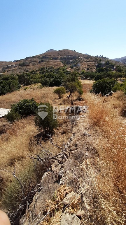 Αγροτεμάχια 6.500 τ.μ. προς πώληση, Οτζιάς