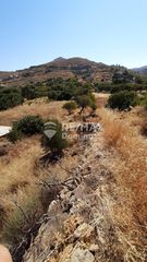 Αγροτεμάχια 6.500 τ.μ. προς πώληση, Οτζιάς-thumb-2