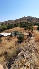 Αγροτεμάχια 6.500 τ.μ. προς πώληση, Οτζιάς-thumb-5