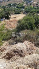 Αγροτεμάχια 6.500 τ.μ. προς πώληση, Οτζιάς-thumb-7