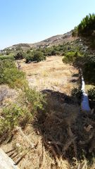 Αγροτεμάχια 6.500 τ.μ. προς πώληση, Οτζιάς-thumb-13
