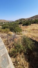 Αγροτεμάχια 6.500 τ.μ. προς πώληση, Οτζιάς-thumb-12