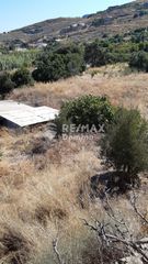 Αγροτεμάχια 6.500 τ.μ. προς πώληση, Οτζιάς-thumb-6