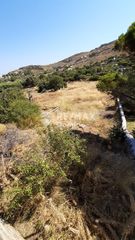 Αγροτεμάχια 6.500 τ.μ. προς πώληση, Οτζιάς-thumb-11